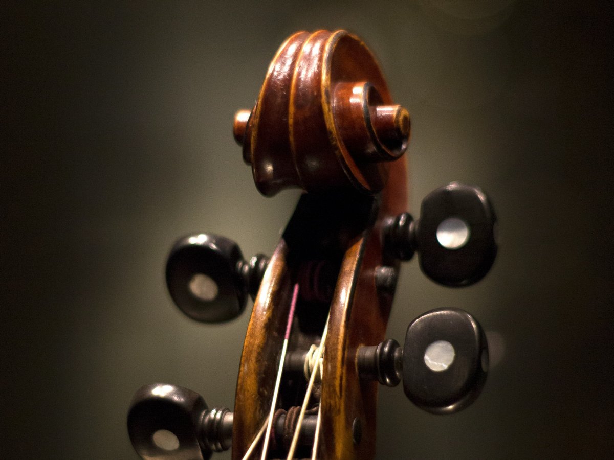 Close-up of a violin's scroll and tuning pegs, softly lit against a dark background.