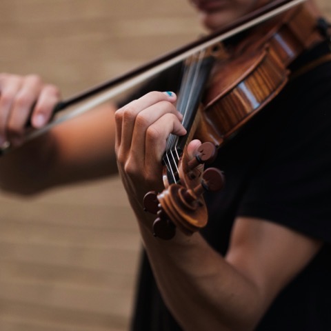 Close-up of a violinist's hands holding the bow and pressing the strings on the fingerboard, with the violin's scroll visible in the foreground.